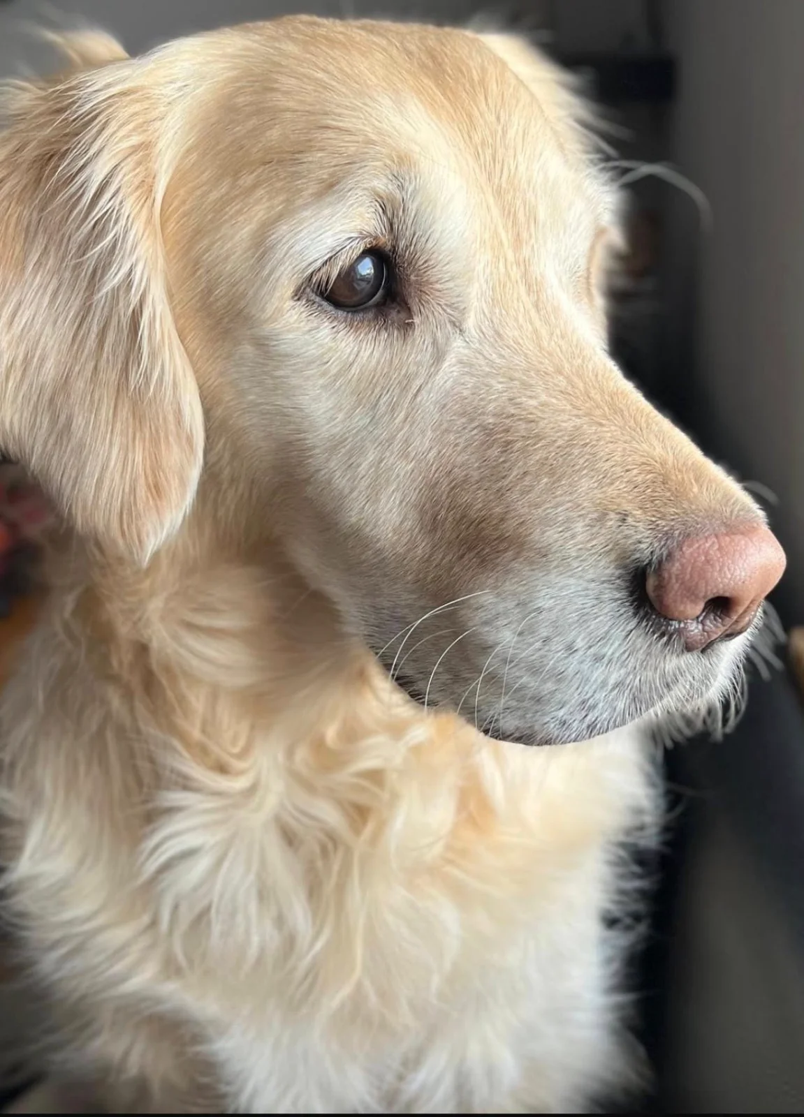 Domki w Strefie Mielno Unieście z basenem i sauną